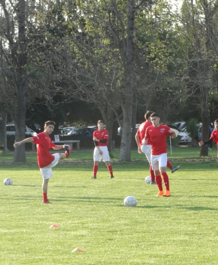 LOS FEDERICOS POR LOS PUNTOS